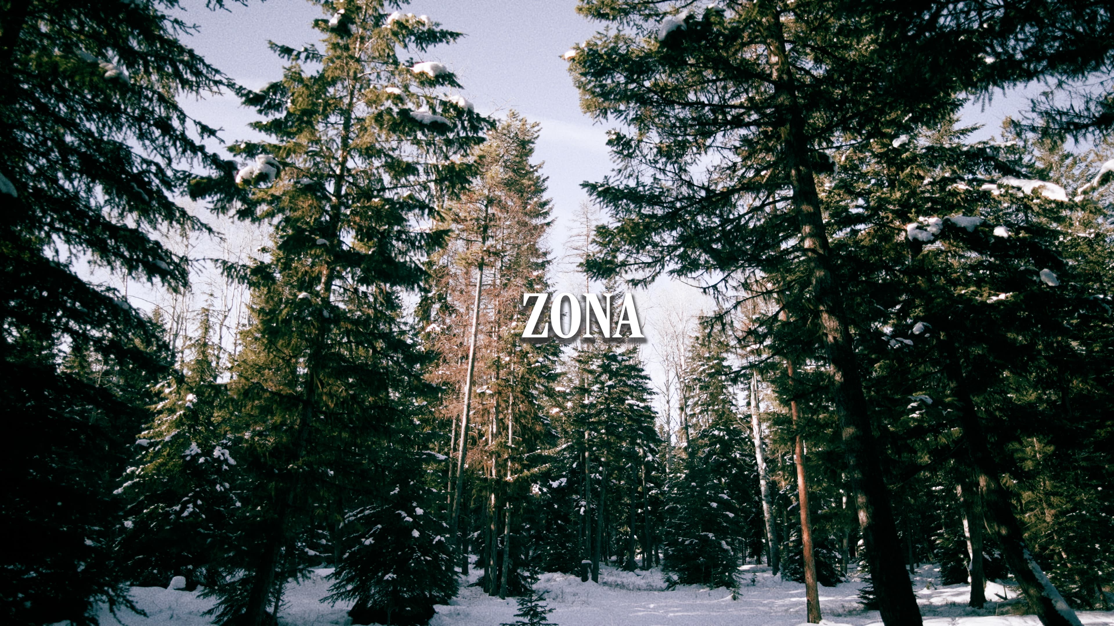 ZONA grade sample